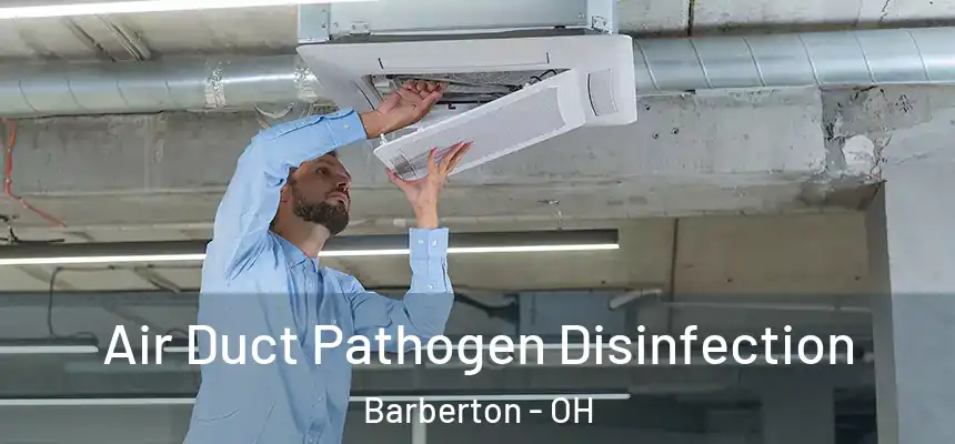  Air Duct Pathogen Disinfection Barberton - OH