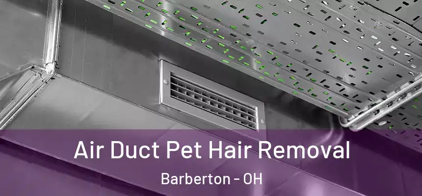  Air Duct Pet Hair Removal Barberton - OH