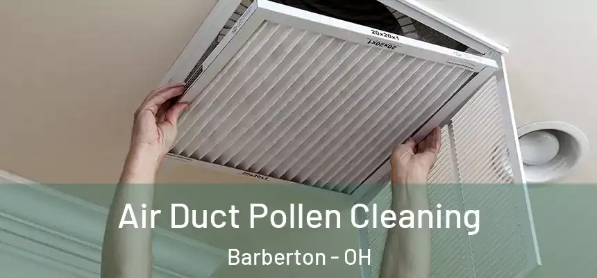  Air Duct Pollen Cleaning Barberton - OH
