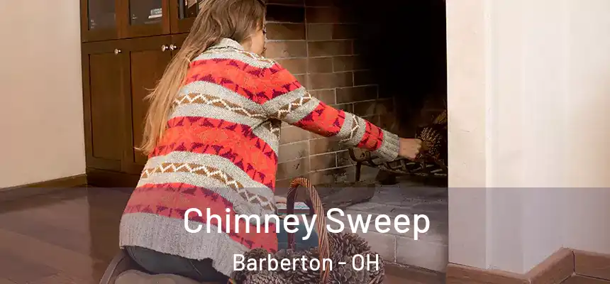  Chimney Sweep Barberton - OH