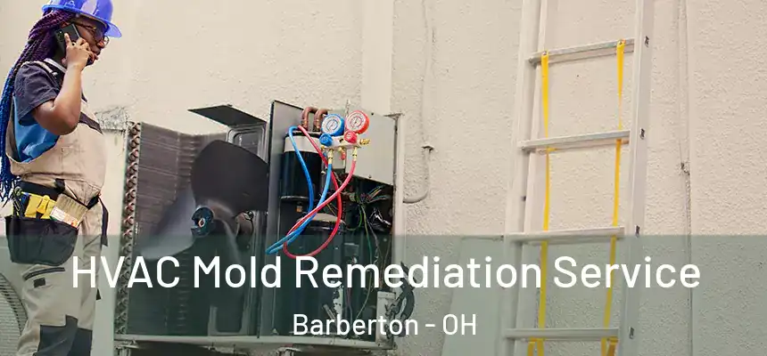  HVAC Mold Remediation Service Barberton - OH