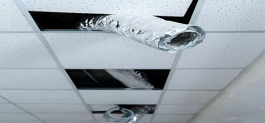 Our Air Duct Pet Hair Removal Services in Barberton, OH