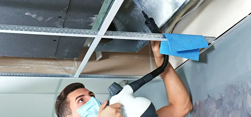 Our Air Duct Rodent Removal Services in Barberton, OH