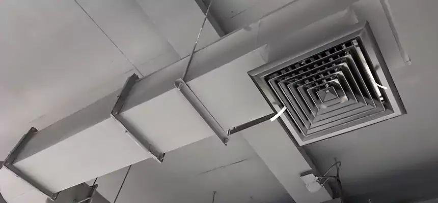 Our Pest Removal From Ducts Services in Barberton, OH