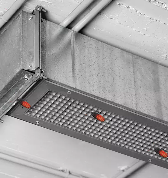 About Air Duct Cockroach Removal in Barberton, OH