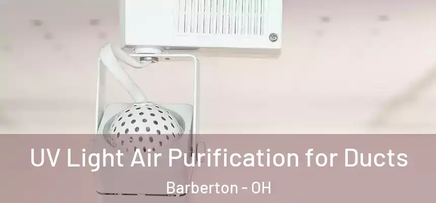  UV Light Air Purification for Ducts Barberton - OH